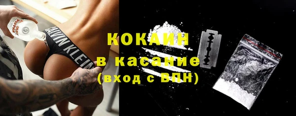 крисы Сясьстрой