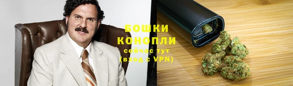 прущие крисы Горнозаводск