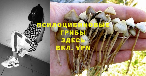 тгк Тавда