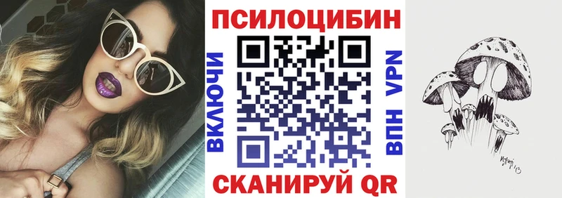 Псилоцибиновые грибы мухоморы  Купить закладки  Няндома 